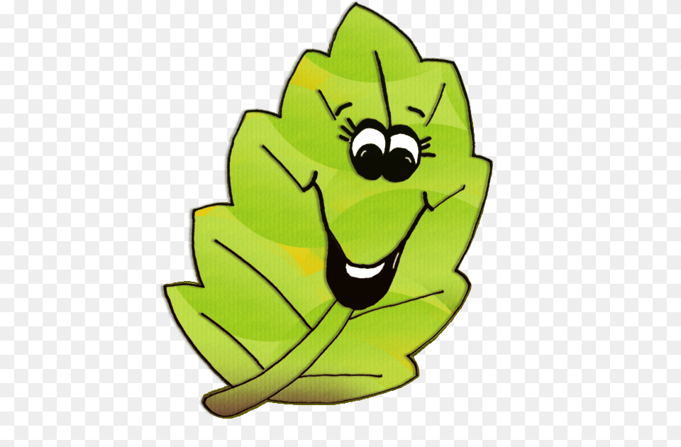 The Teacher Thank Yousupdatefreebiesyeah, Plant, Green, Leaf, Baby Free Transparent Png