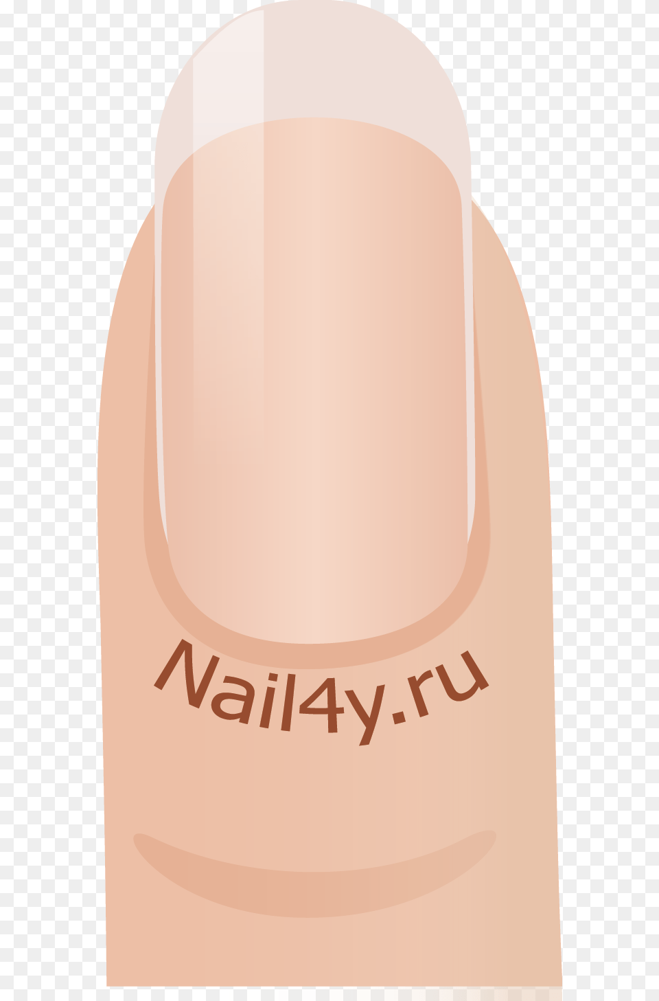 The Technique Of Giving The Nails A Classic Oval Shape Poster, Body Part, Hand, Person, Nail Png Image