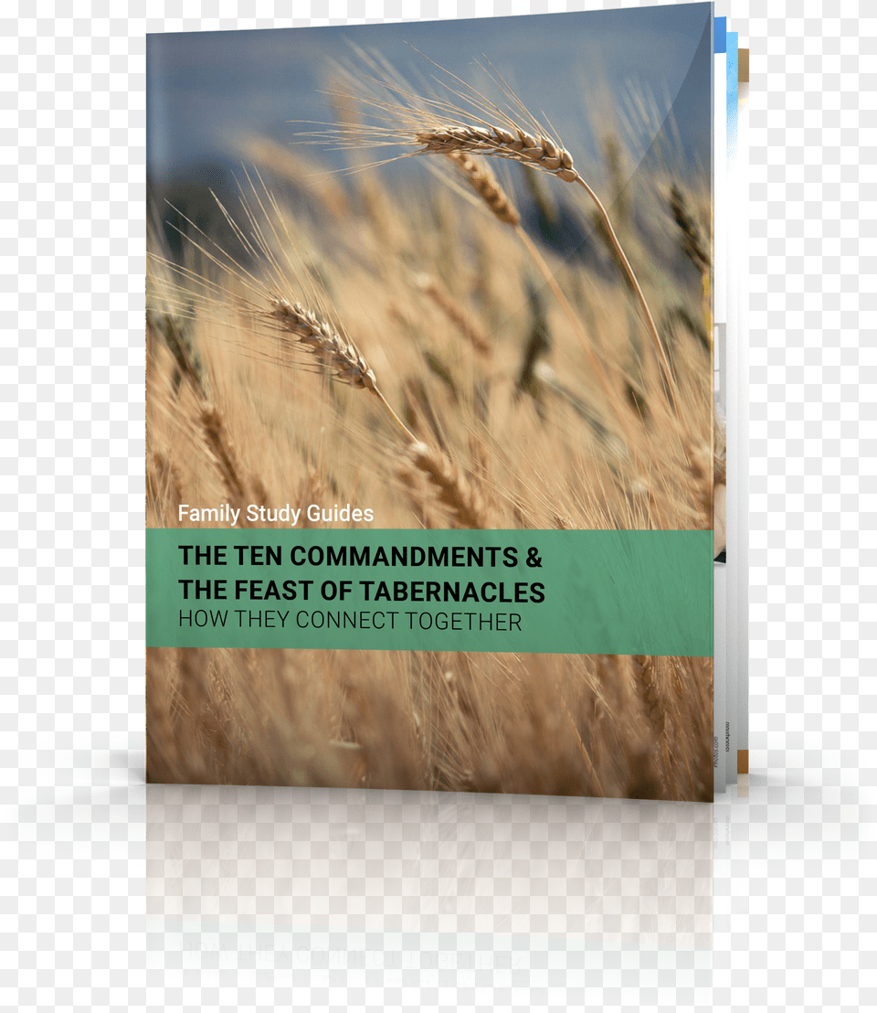 The Ten Commandments Wheat Free Transparent Png