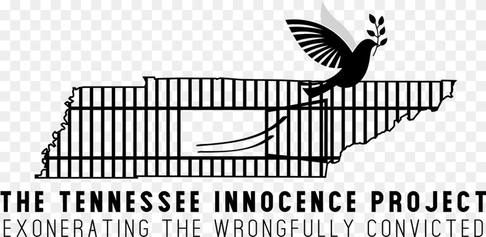 The Tennessee Innocence Project Located In Nashville Silhouette, Lighting, People, Person Free Png Download