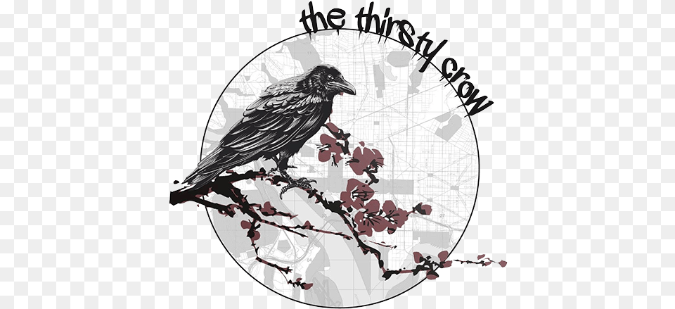 The Thirsty Crow Thristy Crow Dc, Animal, Bird, Blackbird Free Png Download