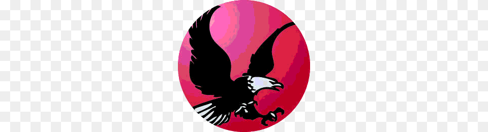 The Thomas A Edison Eagles, Animal, Bird, Vulture, Eagle Free Png