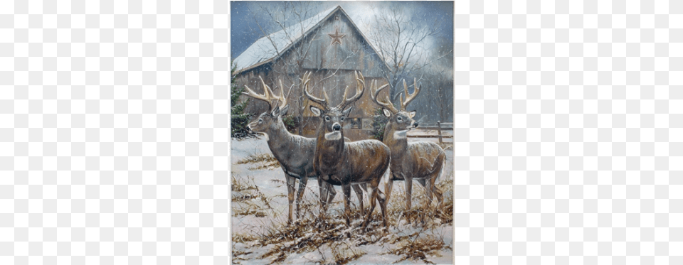 The Three Kings Art, Animal, Deer, Elk, Mammal Free Transparent Png