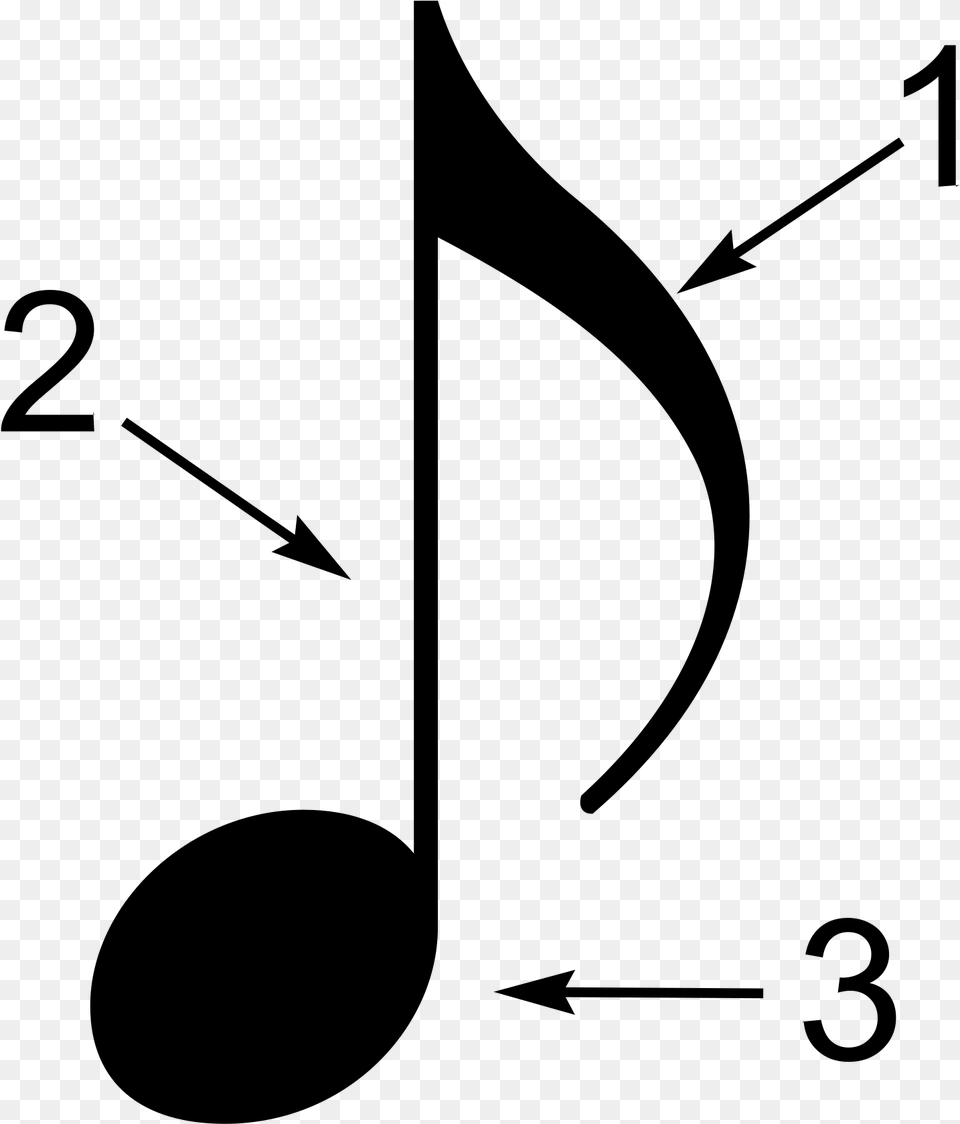 The Three Parts Of A Music Note Are The Head The Stem Parts Of A Note, Gray Png