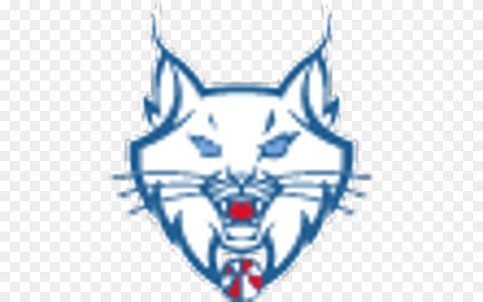 The Timberwolves And Lynx Basketball Academy Is Excited Minnesota Lynx, Dynamite, Weapon Png Image