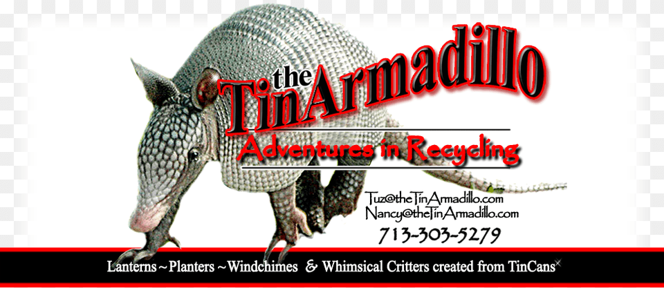 The Tin Armadillo Armadillo, Animal, Mammal, Wildlife, Lizard Png