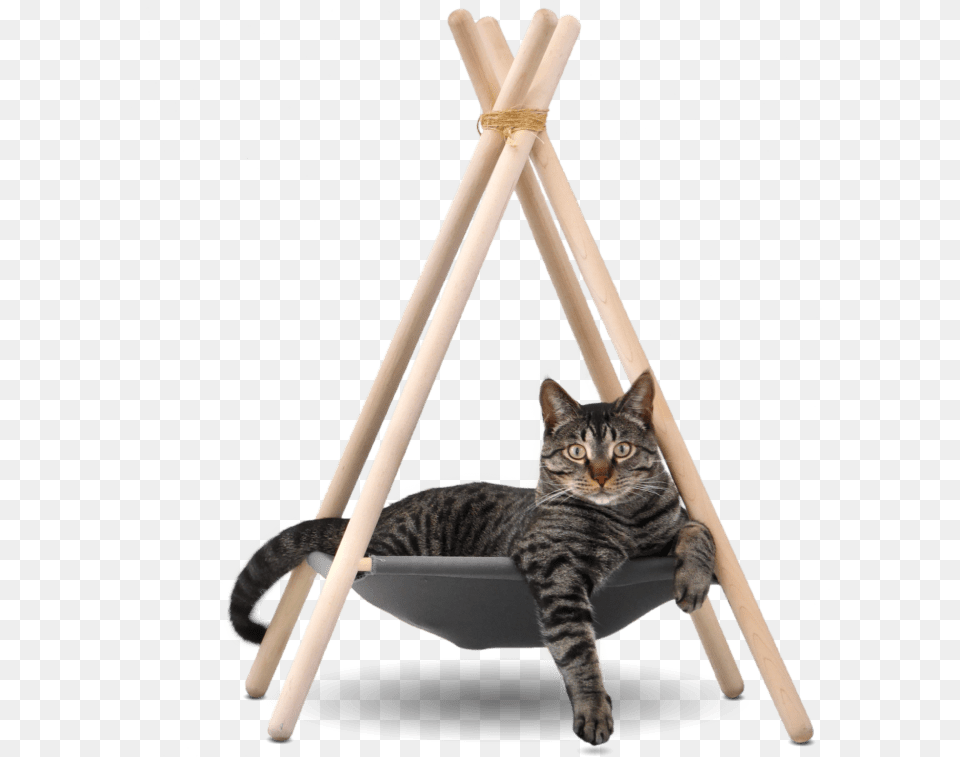 The Tinker Adventure Tent Cat Teepee Hammock, Animal, Mammal, Pet Png Image