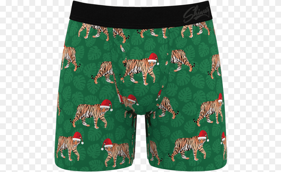 The Tinsel Tigers Briefs, Animal, Mammal, Tiger, Wildlife Free Png Download