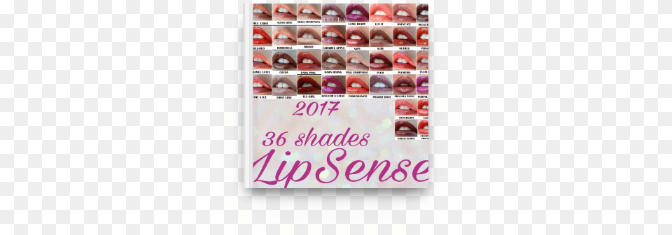 The Top 36 Lipsense Shades Lipsense Colors October 2017, Cosmetics, Lipstick, Person, Body Part Free Png Download