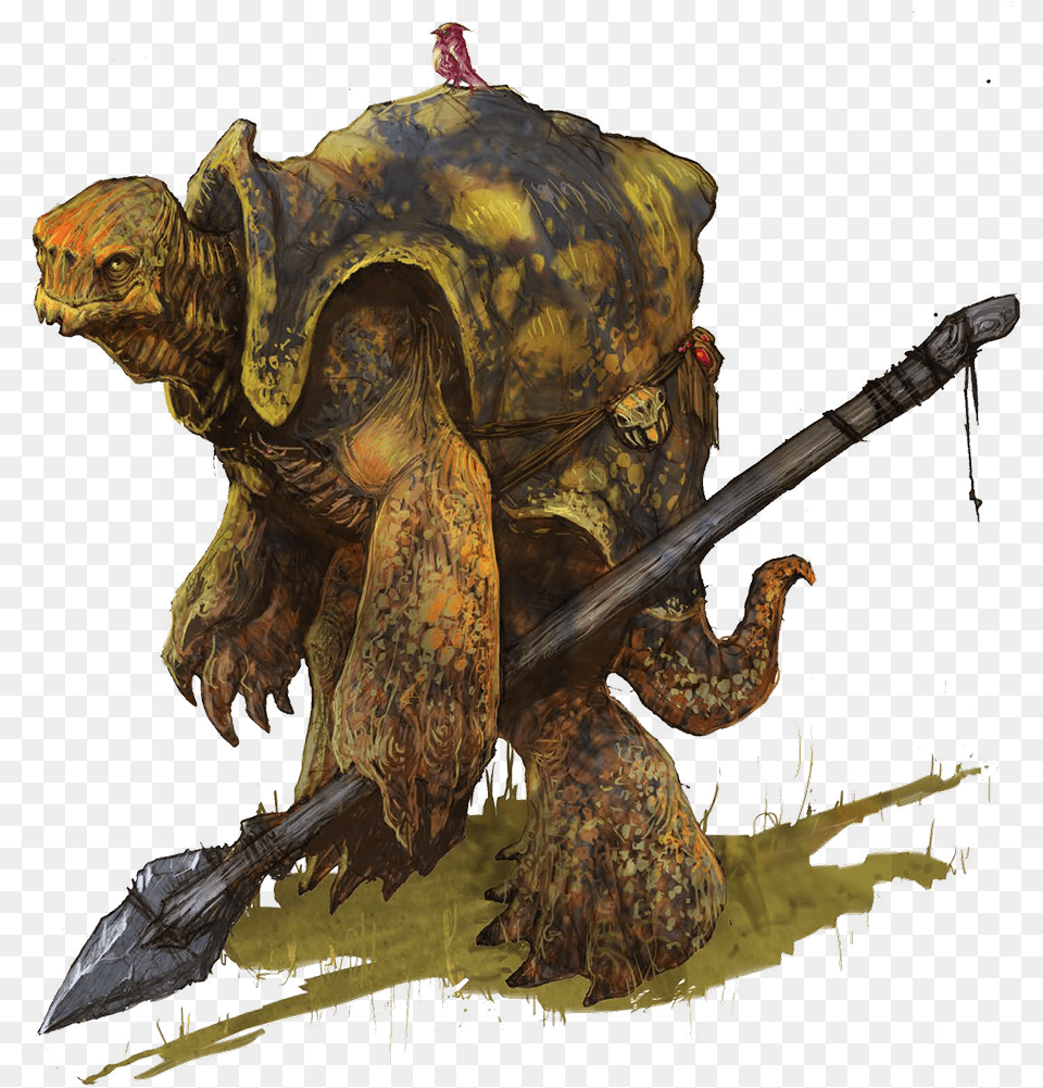 The Tortle Package Draconic Dungeons And Dragons Tortle, Animal, Reptile, Sea Life, Tortoise Free Png