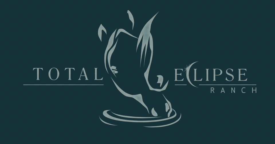 The Total Eclipse Ranch Calligraphy, Logo, Animal, Mammal, Person Free Png