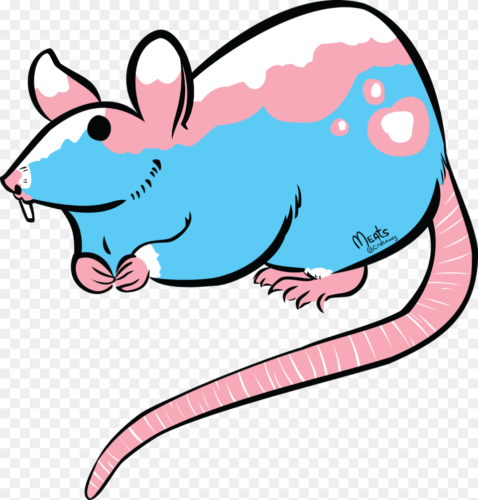 The Trans Rat Design In Its Transparency Form, Animal, Mammal, Rodent Png