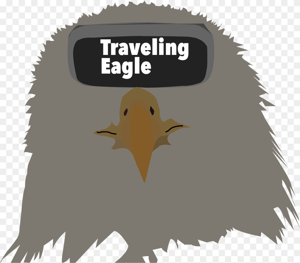 The Traveling Eagle Illustration, Animal, Beak, Bird, Vulture Png Image