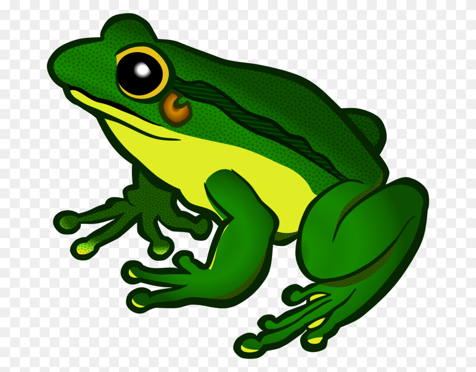 The Tree Frog Amphibian Animal, Wildlife, Tree Frog, Fish Free Png Download