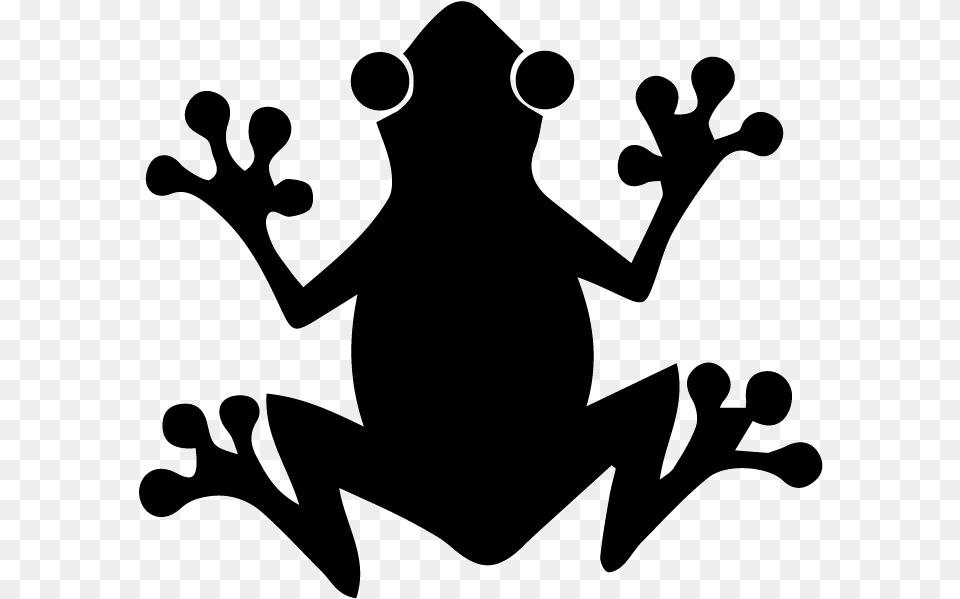 The Tree Frog Silhouette Silhouette Tree Frog Clipart, Amphibian, Animal, Wildlife Free Png Download