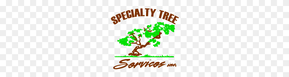 The Tree Medic Tree Service Tree Care Services Pruning Tree, Plant, Vegetation, Oak Free Png