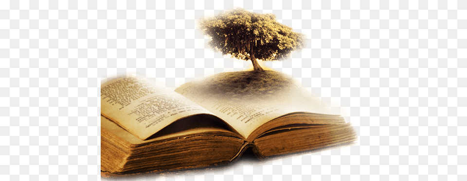 The Tree Of Life And Christ U2022 World Mission Society Church World, Book, Person, Publication, Reading Png