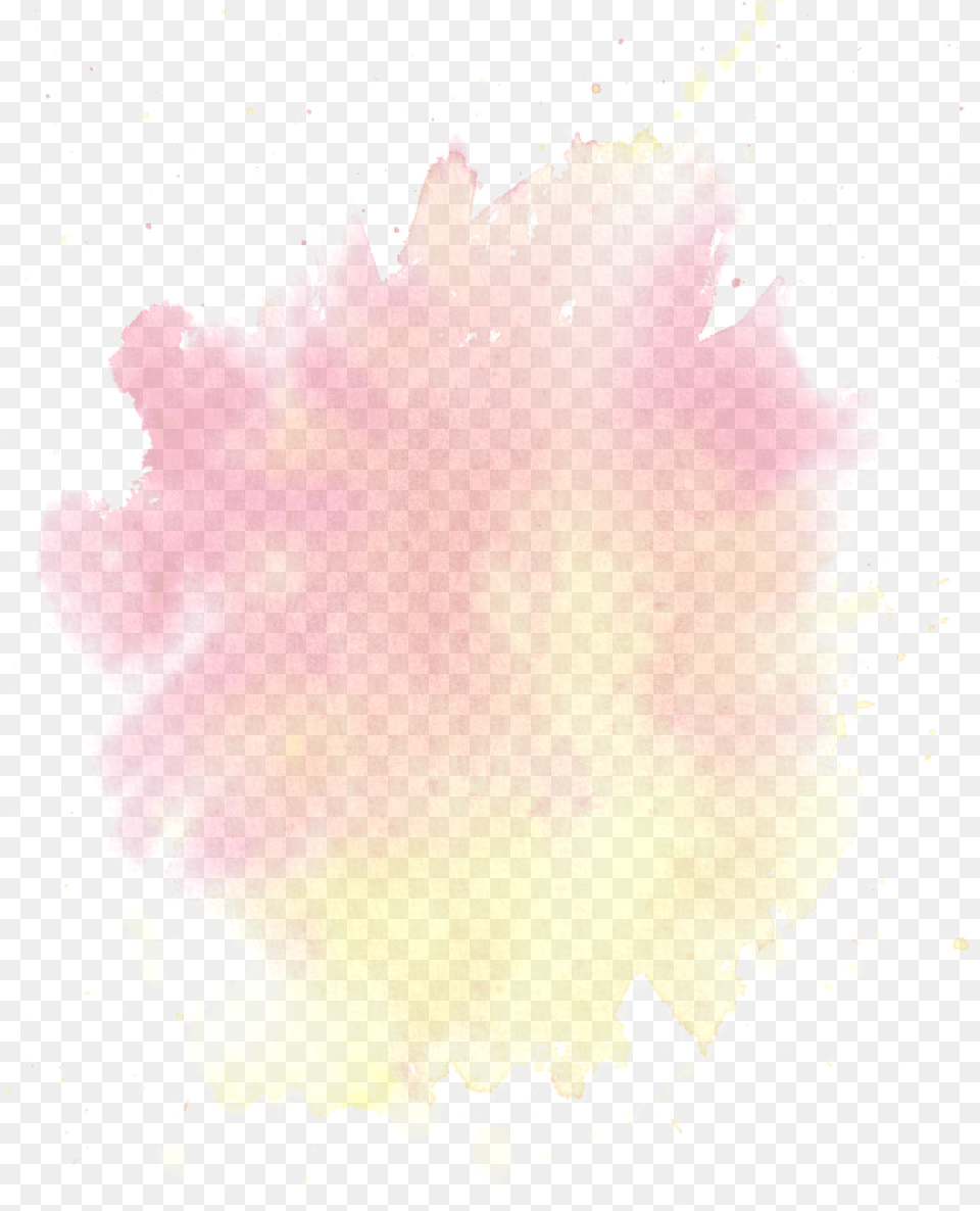 The Tulip Token Ico Home Pink Yellow Watercolor, Leaf, Plant, Stain, Flower Png