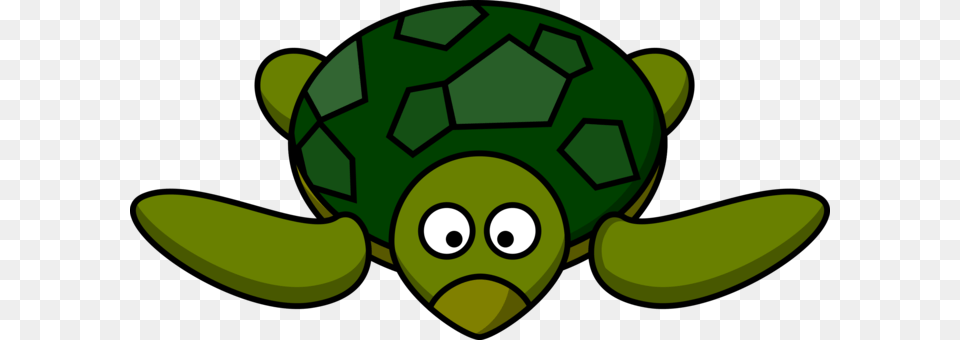 The Turtle Green Sea Turtle Tortoise, Ball, Football, Soccer, Soccer Ball Free Png