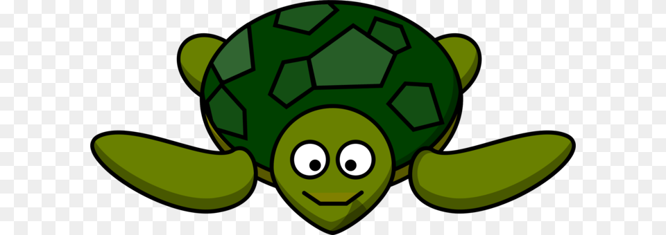 The Turtle Sea Turtle Tortoise Snorkeling, Ball, Football, Green, Sport Png Image