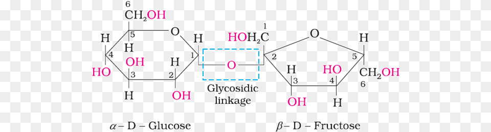 The Two Monosaccharides Are Joined Together By An Oxide Diagram, Text Png Image