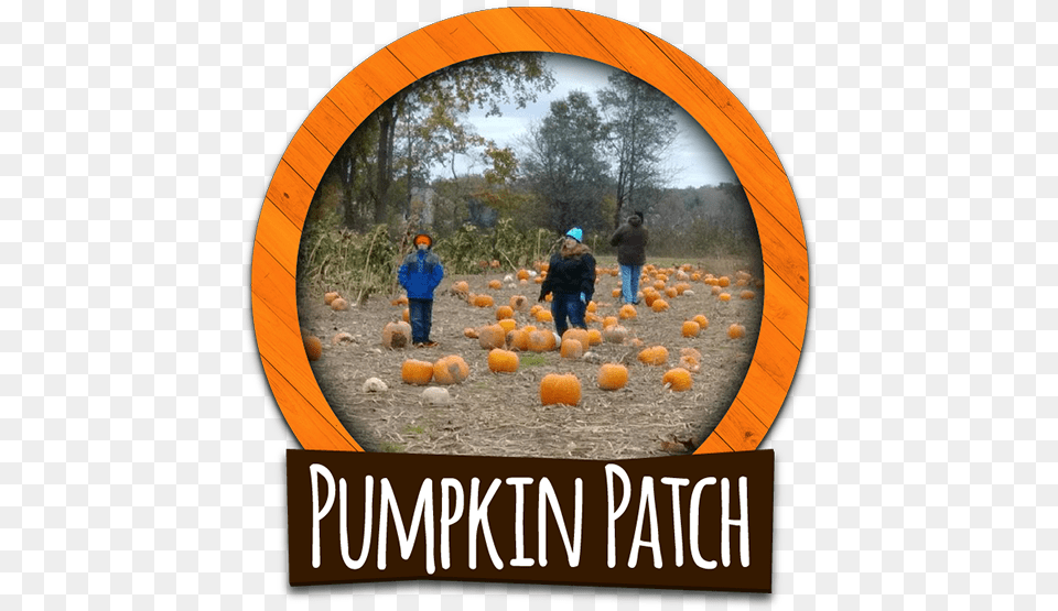 The U Pick Pumpkin Patch At Corn Fun Corn Maze Adventure Poster, Photography, Vegetable, Produce, Food Free Png Download