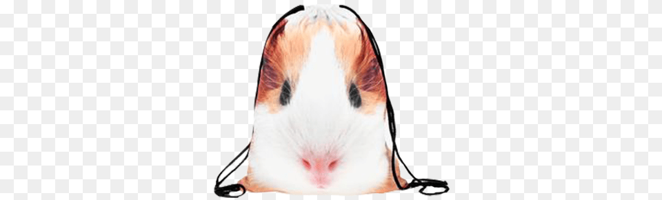 The Ultimate Guinea Pig Food List Stuff To Try, Bag, Animal, Mammal, Rat Png Image