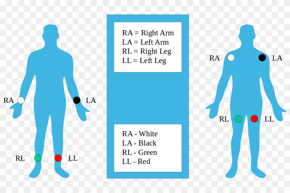 The Ultimate Lead Ecg Placement Guide, Chart, Plot, Adult, Male Png