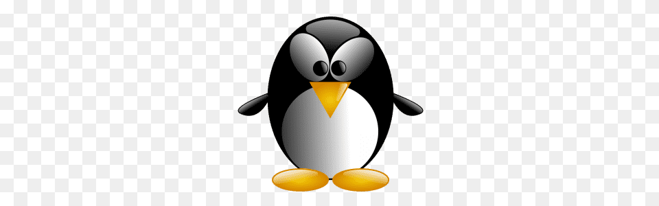 The Ultimate List Of No Watermark Stock Images, Animal, Bird, Penguin, King Penguin Free Png Download