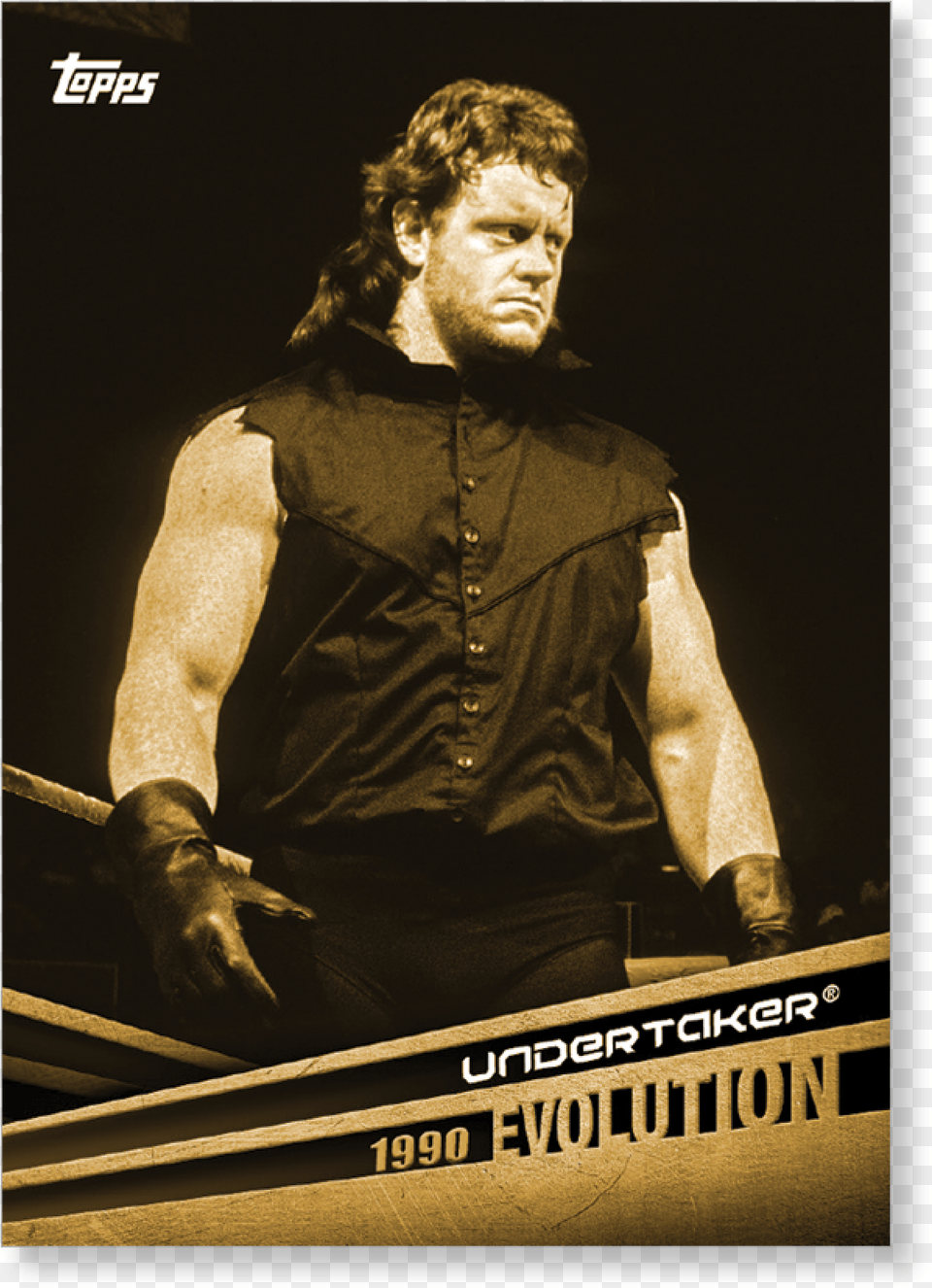 The Undertaker, Adult, Person, Man, Male Png Image