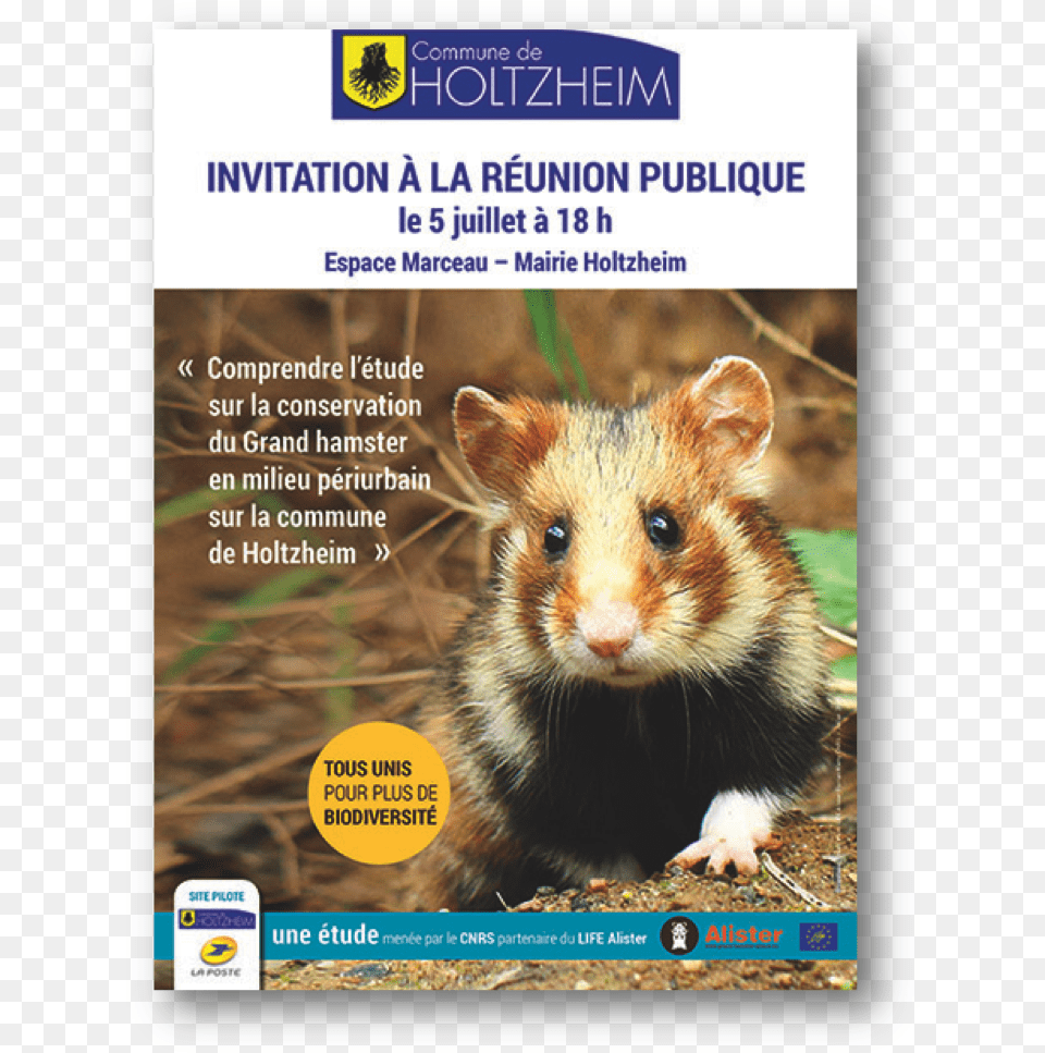 The Urban Periphery Goal Progress Report Interdit Au Public, Animal, Mammal, Rat, Rodent Free Png Download