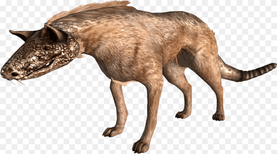 The Vault Fallout Wiki Fallout New Vegas Nightstalker, Animal, Bear, Mammal, Wildlife Png Image