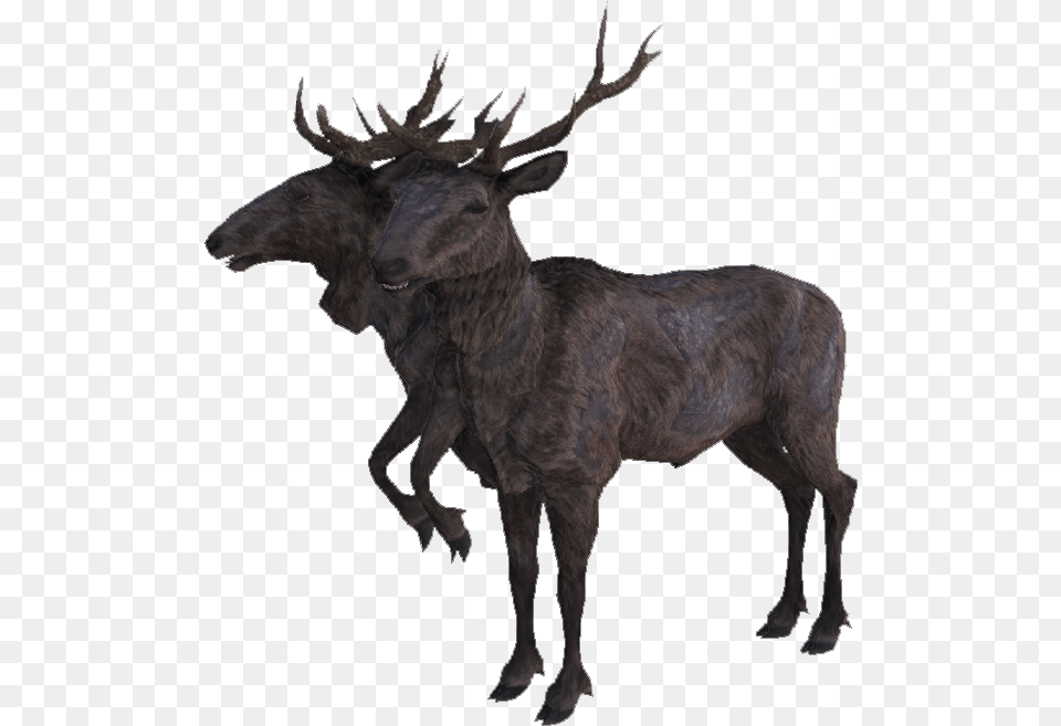 The Vault Fallout Wiki Radstag Yearling Fallout, Animal, Mammal, Moose, Wildlife Png Image