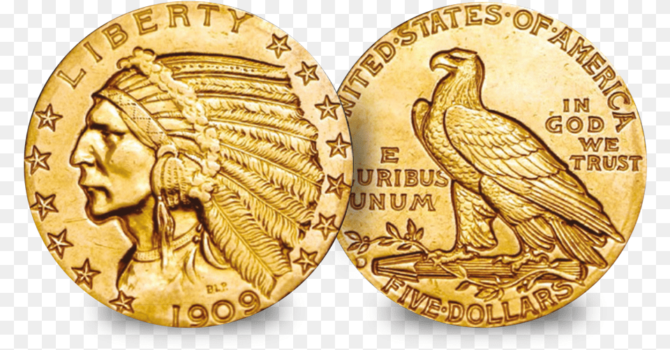 The Very First Gold Coins To Be Struck In America 1908 Incuse Indian Head, Animal, Bird, Adult, Wedding Free Png