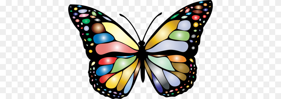 The Very Hungry Caterpillar Butterfly A Lagartinha Muito Comilona, Art, Graphics Free Transparent Png