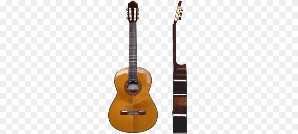 The Vinaccia Family Baroque Guitars From The Museum Classical Guitar, Musical Instrument, Bass Guitar Free Png Download