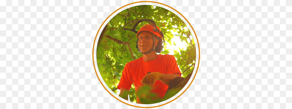 The Vines Are Gone And The Dead And Dangerous Branches Farmworker, Outdoors, Nature, Person, Photography Free Transparent Png