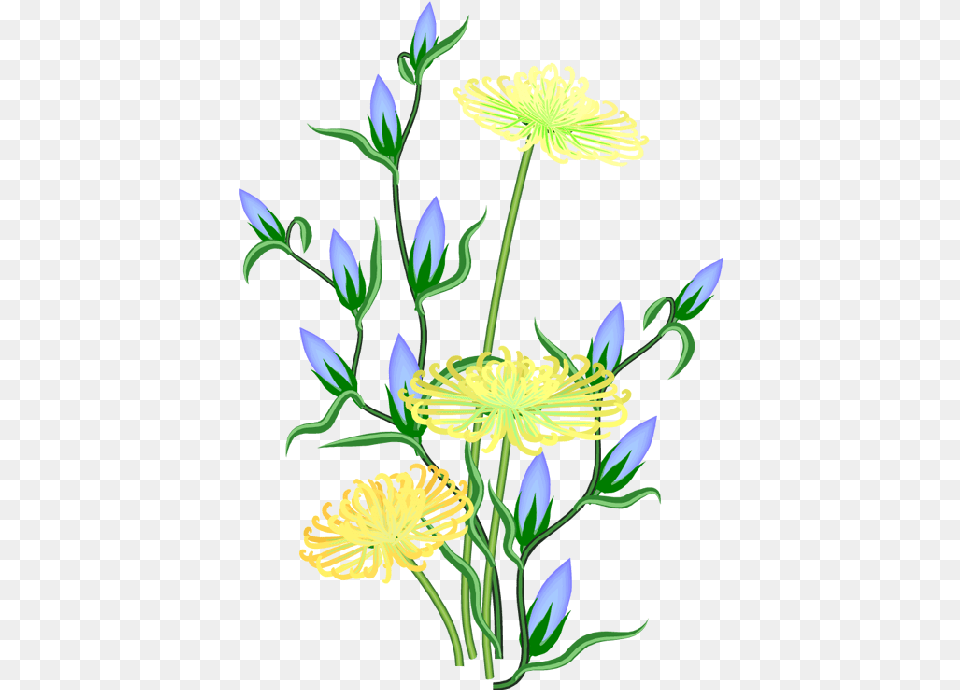 The Wallpaper, Flower, Plant, Art, Graphics Free Transparent Png