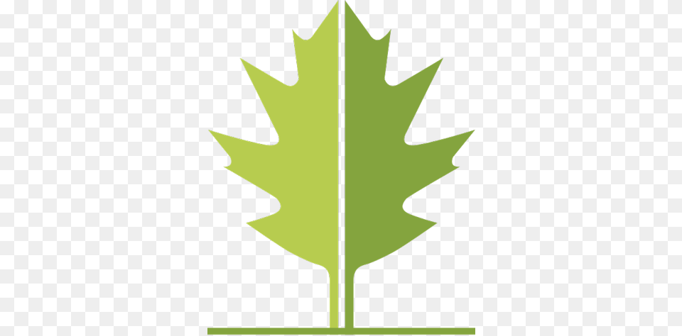 The Warren Land Trust, Leaf, Plant, Maple Leaf, Cross Png Image