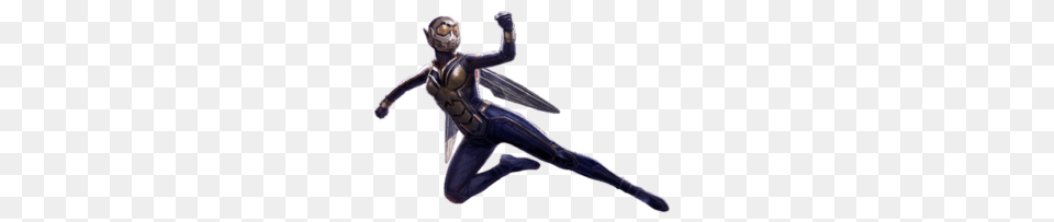 The Wasp Flying, Adult, Person, Man, Male Free Png Download