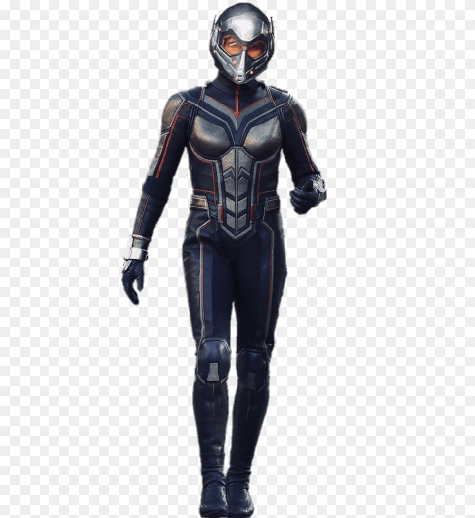 The Wasp Full Size, Helmet, Adult, Male, Man Free Png Download