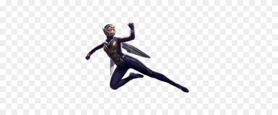 The Wasp Transparent, Adult, Person, Man, Male Png Image