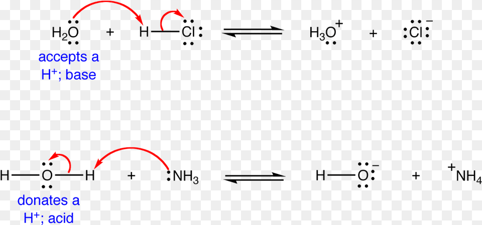 The Water Molecule Could Act As A Base In A Reaction Water Amphoteric, Text, Gauge Free Png Download