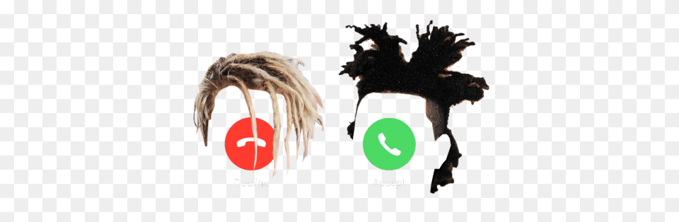 The Weeknd With Dreads Tumblr, Animal, Cat, Mammal, Pet Png