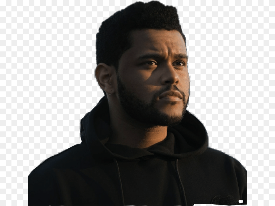 The Weeknd Ze Vikend, Adult, Photography, Person, Man Free Png Download