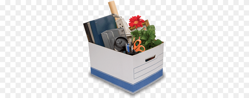 The White Box Club White Box Club Handbook Simple Tools, Plant, Potted Plant, Scissors, Jar Free Png Download