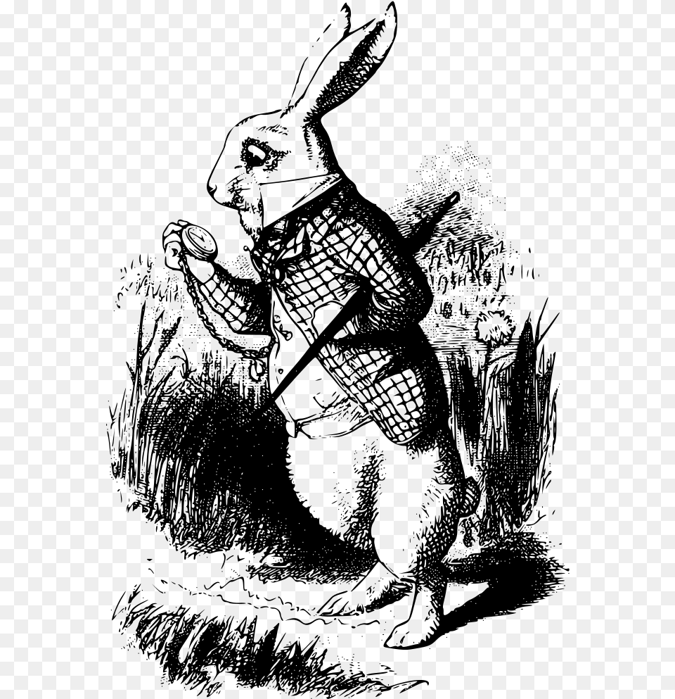 The White Rabbit White Rabbit Alice In Wonderland Book, Gray Png