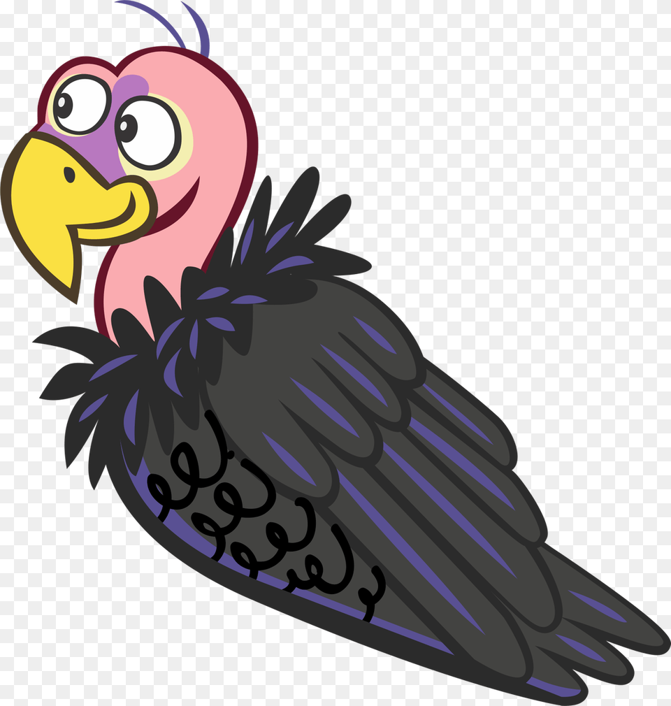 The Whizpops Missoula Valley Lifestyle Magazine, Animal, Bird, Vulture, Condor Png Image