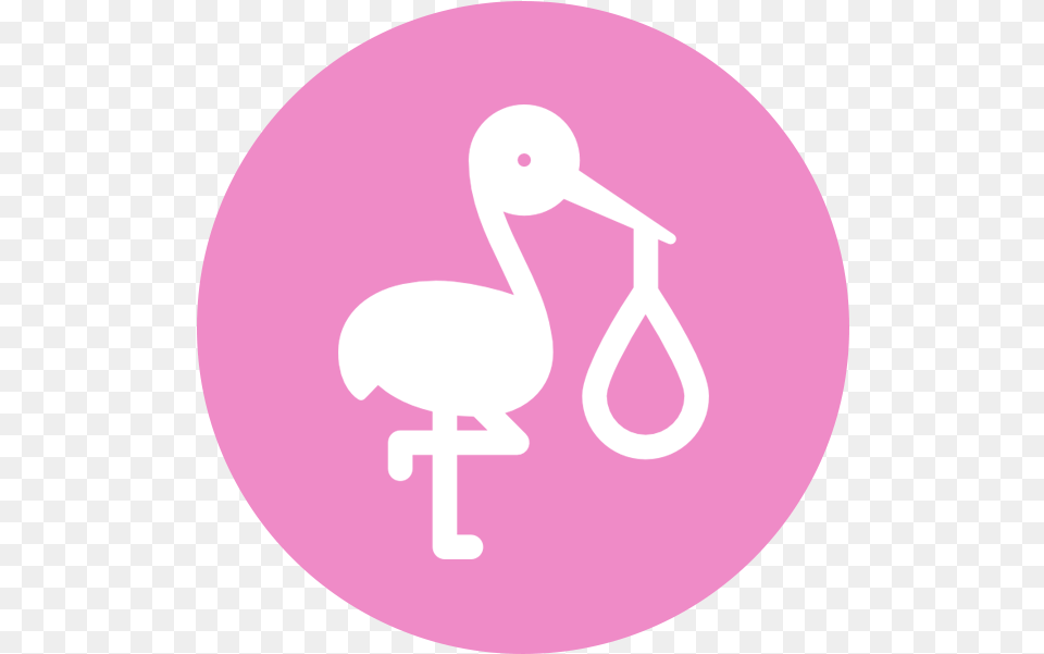 The Whole Mum Foods Girly, Animal, Bird, Waterfowl, Disk Free Png