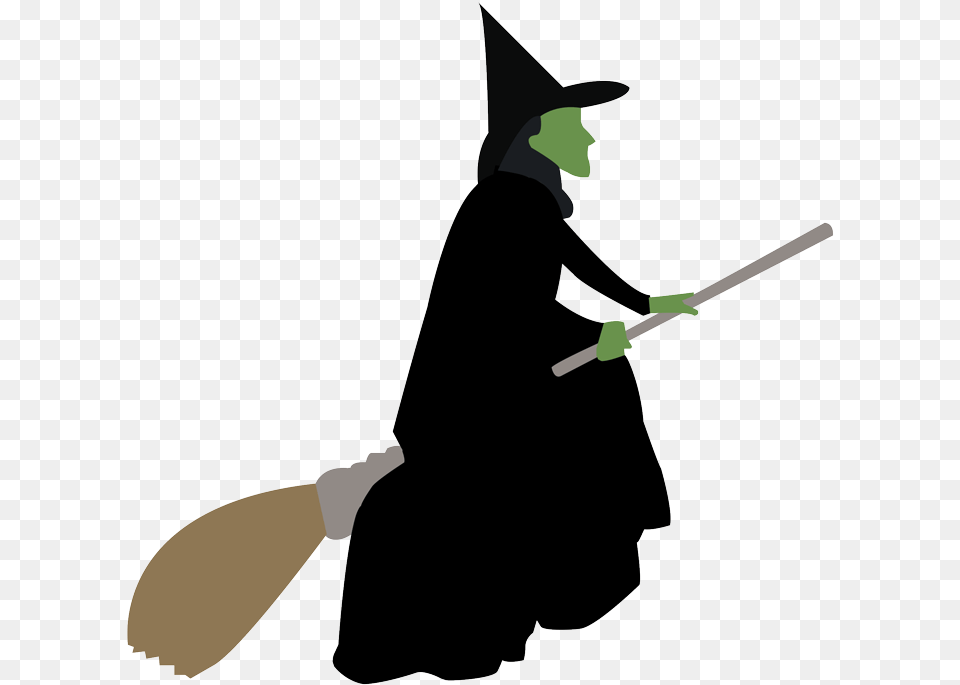The Wicked Witch Cartoon, People, Person, Broom Png Image